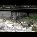 random clips   brokenose river